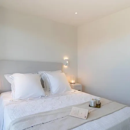 Apartment Somptuous Sea-view 3 Bedrooms Penthouse Moure Rouge Cannes